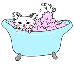 Chiwasan and Ochiwa sticker #11534726