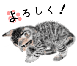 Nekoron 4 sticker #11537152