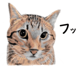 Nekoron 4 sticker #11537154