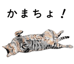 Nekoron 4 sticker #11537159