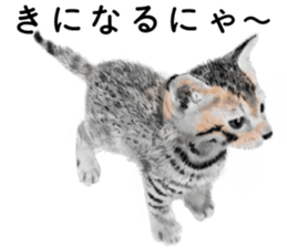 Nekoron 4 sticker #11537161