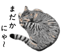 Nekoron 4 sticker #11537163