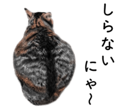 Nekoron 4 sticker #11537168