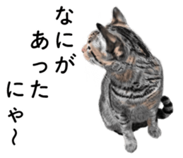 Nekoron 4 sticker #11537169
