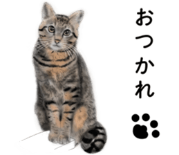 Nekoron 4 sticker #11537172