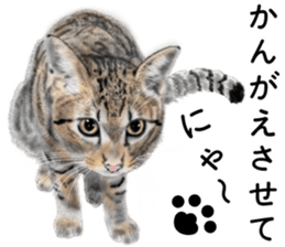 Nekoron 4 sticker #11537174