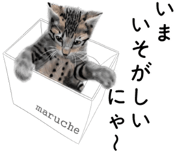 Nekoron 4 sticker #11537175