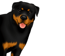 The Rottweilers 2. sticker #11537536