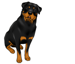 The Rottweilers 2. sticker #11537537
