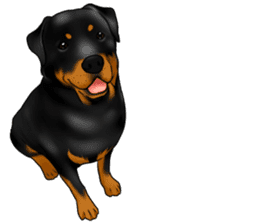 The Rottweilers 2. sticker #11537538