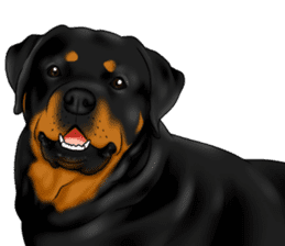 The Rottweilers 2. sticker #11537539