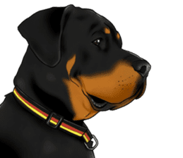 The Rottweilers 2. sticker #11537540