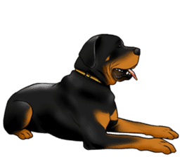 The Rottweilers 2. sticker #11537541