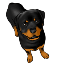 The Rottweilers 2. sticker #11537544