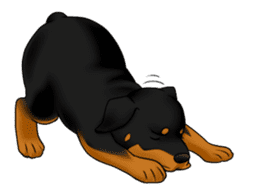 The Rottweilers 2. sticker #11537545