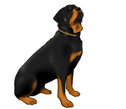 The Rottweilers 2. sticker #11537546