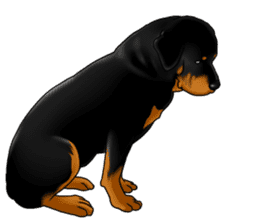 The Rottweilers 2. sticker #11537547