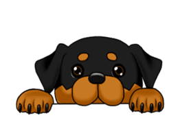The Rottweilers 2. sticker #11537548
