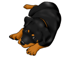 The Rottweilers 2. sticker #11537551