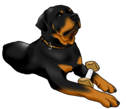 The Rottweilers 2. sticker #11537552