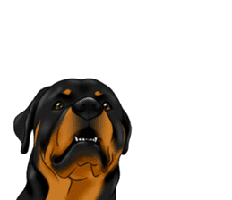 The Rottweilers 2. sticker #11537554