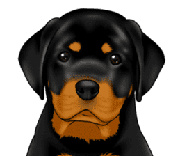 The Rottweilers 2. sticker #11537555