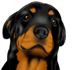 The Rottweilers 2. sticker #11537556