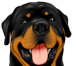 The Rottweilers 2. sticker #11537559