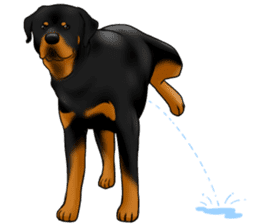The Rottweilers 2. sticker #11537565