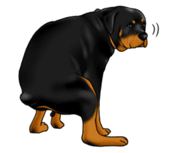 The Rottweilers 2. sticker #11537566