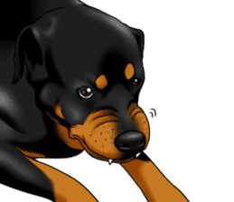 The Rottweilers 2. sticker #11537571