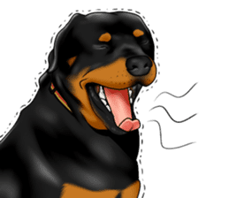 The Rottweilers 2. sticker #11537572