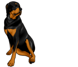 The Rottweilers 2. sticker #11537573