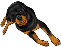The Rottweilers 2. sticker #11537574