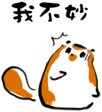 "Little Raccoon" sticker #11538136