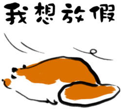 "Little Raccoon" sticker #11538141