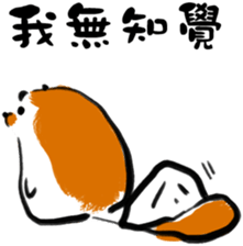 "Little Raccoon" sticker #11538149