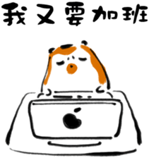 "Little Raccoon" sticker #11538150