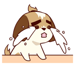 2 Shih Tzu Brothers V.2-Emotion sticker #11538302