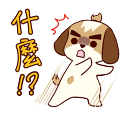 2 Shih Tzu Brothers V.2-Emotion sticker #11538332