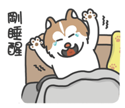 Husky Fendi 2 sticker #11538980