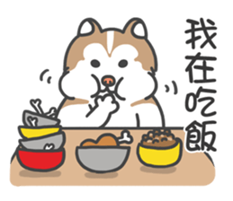 Husky Fendi 2 sticker #11538992