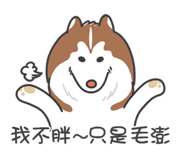 Husky Fendi 2 sticker #11538995