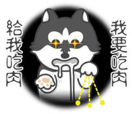 Husky Fendi 2 sticker #11538998