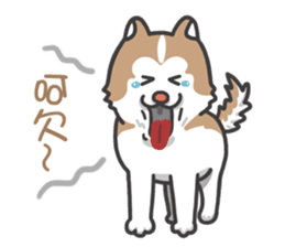 Husky Fendi 2 sticker #11539004