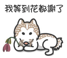 Husky Fendi 2 sticker #11539005
