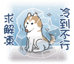 Husky Fendi 2 sticker #11539006