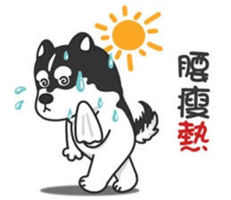 Husky Fendi 2 sticker #11539007