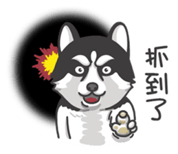 Husky Fendi 2 sticker #11539009