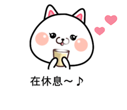 CAT... sticker #11539106